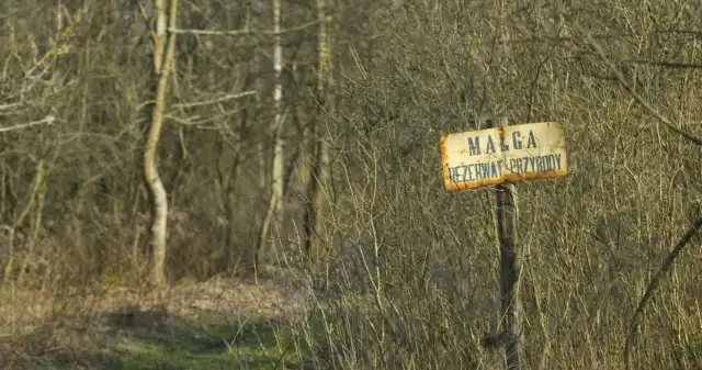Kiedyś, jedna, najstarszych, największych, mazurskich, Dziś, opuszczony, teren, którego, świetlane, czasy, wyobrazić, mogą, sobi Była jedną z największych mazurskich wsi. Wkrótce przestała istnieć