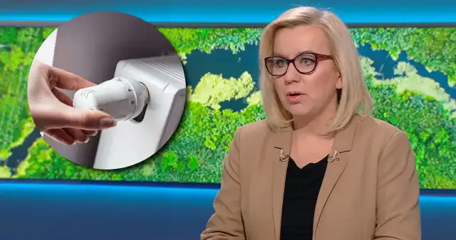 Kluczowy program rządu na skraju bankructwa. Ministra stawia sprawę jasno Kluczowy, rządowy, program, walki, smogiem, stoi, skraju, bankructwa, ostrzega, Polski, Alarm, Smogowy, Ministra, klimatu, środo Kluczowy program rządu na skraju bankructwa. Ministra stawia sprawę jasno