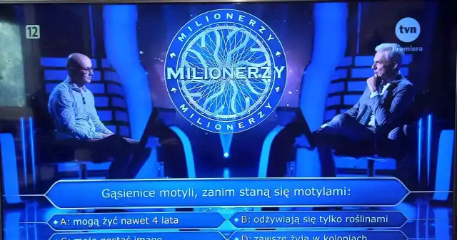Gąsienice, motyli, zanim, staną, motylami, tego, pytania, zawodnik, teleturnieju, Milionerzy, miał, dobrać, odpowiedź, wartą, ćw Pytanie z Milionerów było pułapką. Gracz nie dał się nabrać na gąsienicę