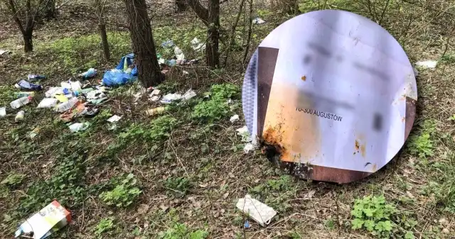24-latka wyrzuciła śmieci do lasu. Zdradziła ją zawartość worków 24-latka wyrzuciła śmieci do lasu. Zdradziła ją zawartość worków