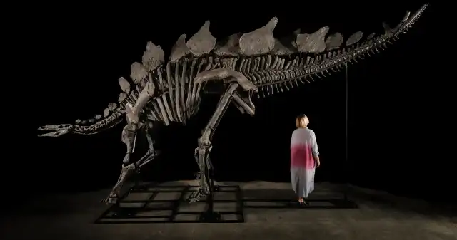 Kup sobie szkielet dinozaura. Aukcja rozwścieczyła naukowców Kup sobie szkielet dinozaura. Aukcja rozwścieczyła naukowców
