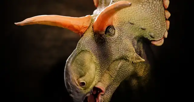  Niesamowity dinozaur odkryty w USA. Miał rogi niczym słynny bóg
