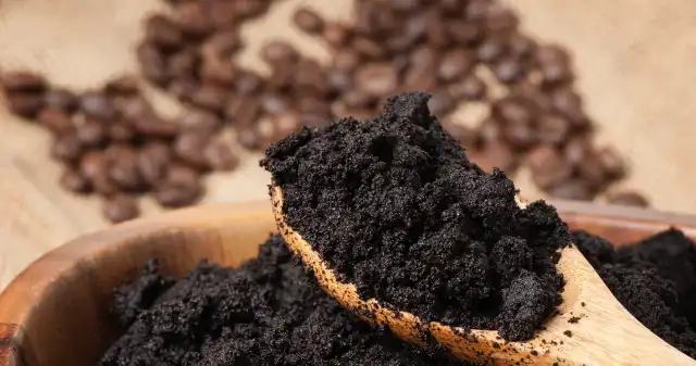  Fusy z kawy zastąpią plastik. Polska uczelnia nie wyrzuca tych odpadów 