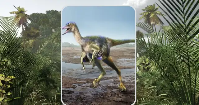 Nowy dinozaur odkryty w Japonii. Śmierć zaskoczyła go we śnie Nowy dinozaur odkryty w Japonii. Śmierć zaskoczyła go we śnie