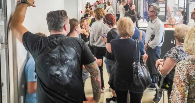 Za 9 dni stracą ważny przywilej. Tysiące kierowców z problemem września, upływa, termin, ważności, orzeczeń, niepełnosprawności, oraz, kart, parkingowych, niemal, Polaków, Chcąc, przedłużyć, Za 9 dni stracą ważny przywilej. Tysiące kierowców z problemem