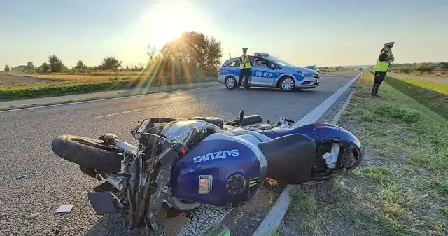 Zaczęło się bukowisko. Są ostrzeżenia dla kierowców i motocyklistów Wraz, początkiem, jesieni, przypadającą, wtedy, porą, godową, łosi, rozpoczyna, czas, wędrówek, tych, zwierząt, Wiąże, większe, Zaczęło się bukowisko. Są ostrzeżenia dla kierowców i motocyklistów