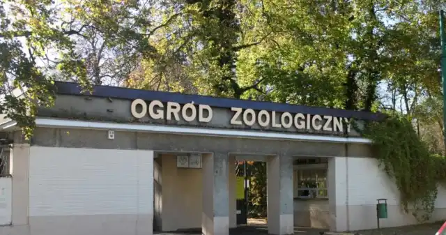To koniec jednego z najstarszych zoo w Polsce. Straciło swój sens To koniec jednego z najstarszych zoo w Polsce. Straciło swój sens