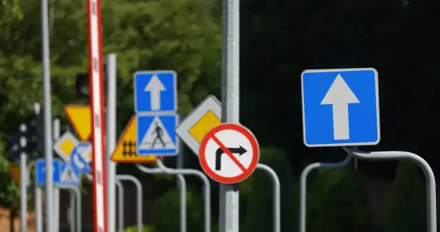 Nowe znaki na polskich drogach. Gdzie je spotkamy i co oznaczają? Lubelszczyźnie, okolicach, Szczebrzeszyna, pojawiły, nowe, znaki, drogowe, Ostrzegają, przez, chrząszczem, brzmi, trzcinach, prz Nowe znaki na polskich drogach. Gdzie je spotkamy i co oznaczają?