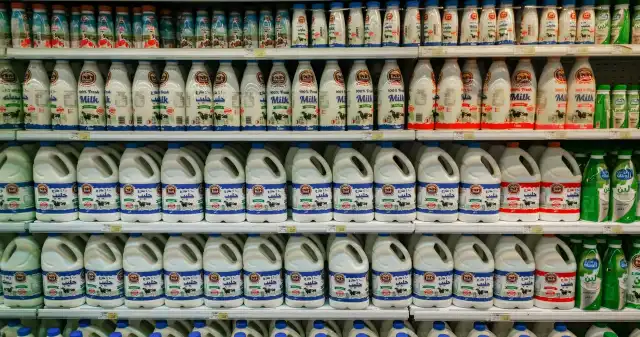  Mleko w Polsce skażone? Dodatek do pasz Bovaer i wpływ na zdrowie