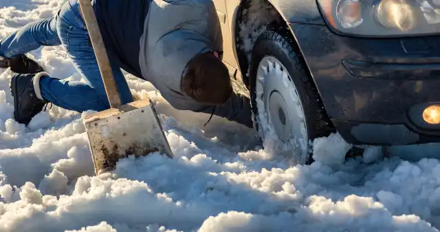  Chwila nieuwagi i zawisł na brzuchu. Teraz ma problem