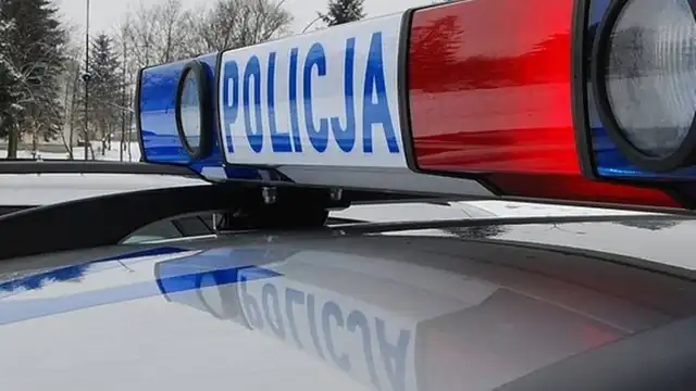 Tragiczne zderzenie w z łosiem. Komendant trafił do szpitala