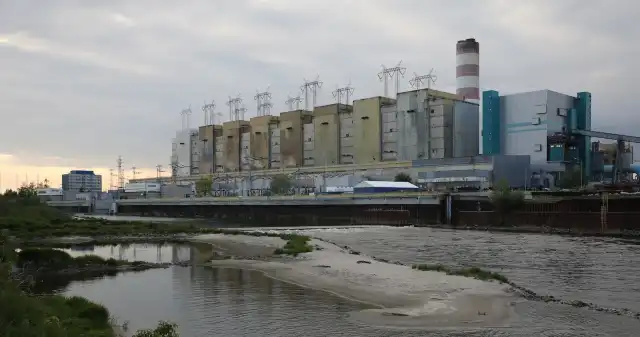  Nadwiślańska elektrownia pozbawiła życia miliony ryb. Problem jest potężny