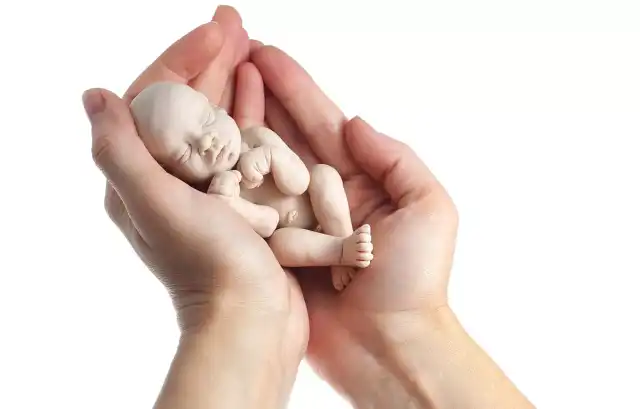 Świat bez aborcji to dar nawróconych serc Świat bez aborcji to dar nawróconych serc