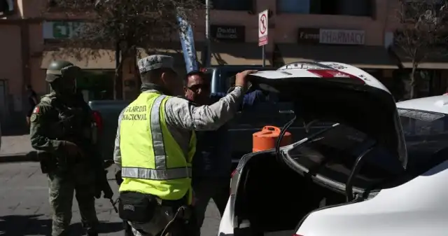  Psy tropiące i losowe przeszukania. Meksyk na polecenie Trumpa tropi fentanyl