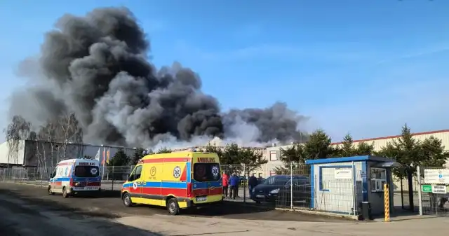  Potężny pożar hali produkcyjnej w Cigacicach. Kłęby dymu nad wioską