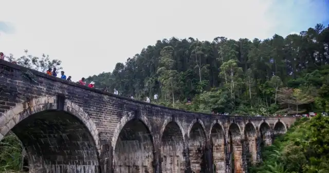  Nagła awaria w turystycznym raju. Wszystkiemu winna... małpa. Minister o blackoucie