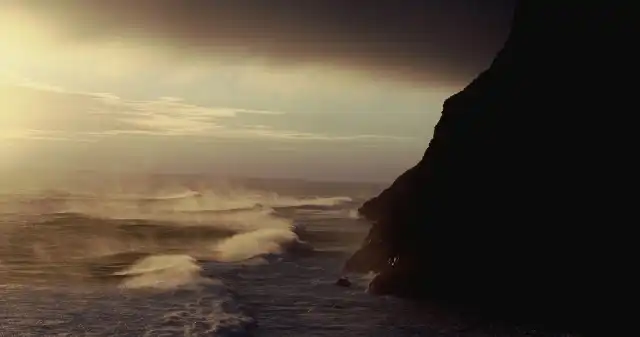  Uciekli na łodzi poławiaczy homarów. Pożar trawi Amsterdam - klejnot różnorodności biologicznej