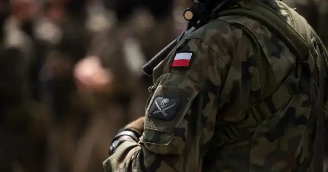  Czy małe, zawodowe wojsko obroniłoby kraj tak rozległy jak Polska? Nie obroniłoby ANALIZA