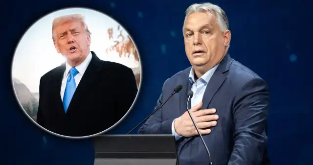  Jak tchórzliwe króliki. Viktor Orban ws. strachu UE przed Trumpem